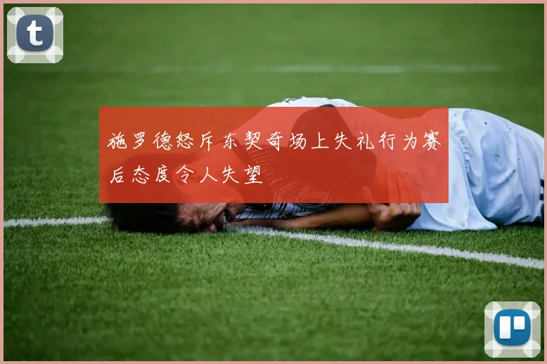 施罗德怒斥东契奇场上失礼行为赛后态度令人失望