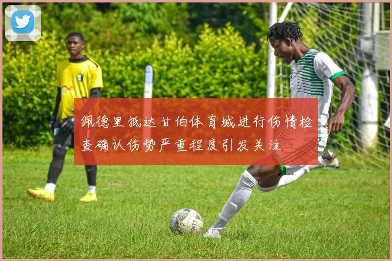 佩德里抵达甘伯体育城进行伤情检查确认伤势严重程度引发关注
